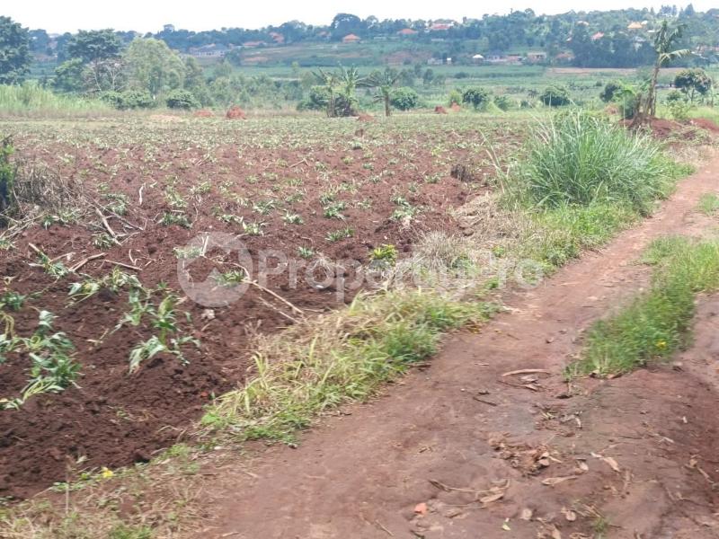 Land for sale Kira kijjabijo  Kira Wakiso Central - 0