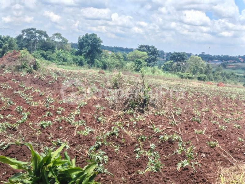 Land for sale Kira kijjabijo  Kira Wakiso Central - 1