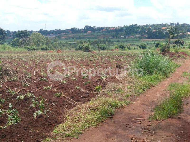 Land for sale Kira kijjabijo  Kira Wakiso Central - 5
