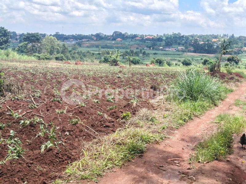 Land for sale Kira kijjabijo  Kira Wakiso Central - 6