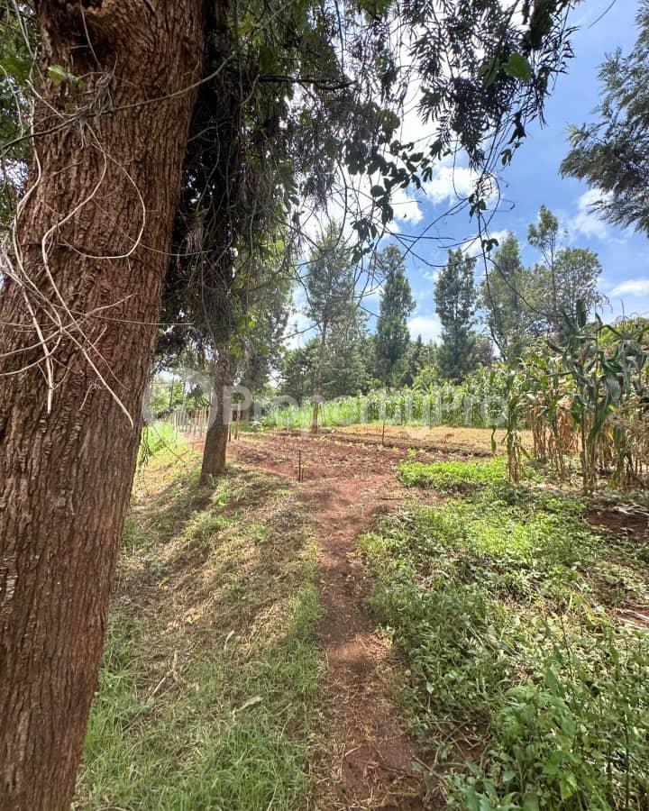 Flat&Apartment for sale Karen Nairobi