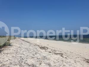 Land for sale Watamu Watamu - 0