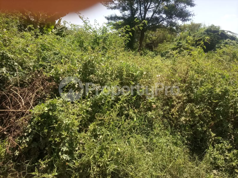 Land for sale Juja Kiambu