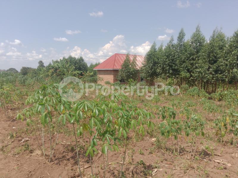 Land for sale Gayaza dungu Gayaza Wakiso Central - 0