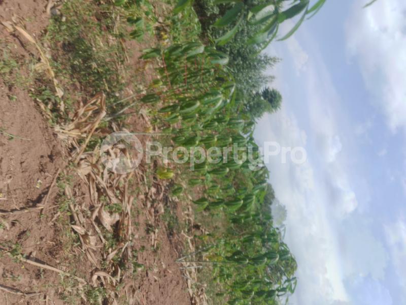 Land for sale Gayaza dungu Gayaza Wakiso Central - 3