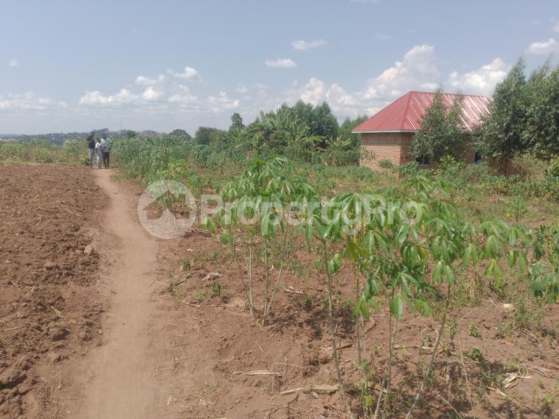 Land for sale Gayaza dungu Gayaza Wakiso Central - 1