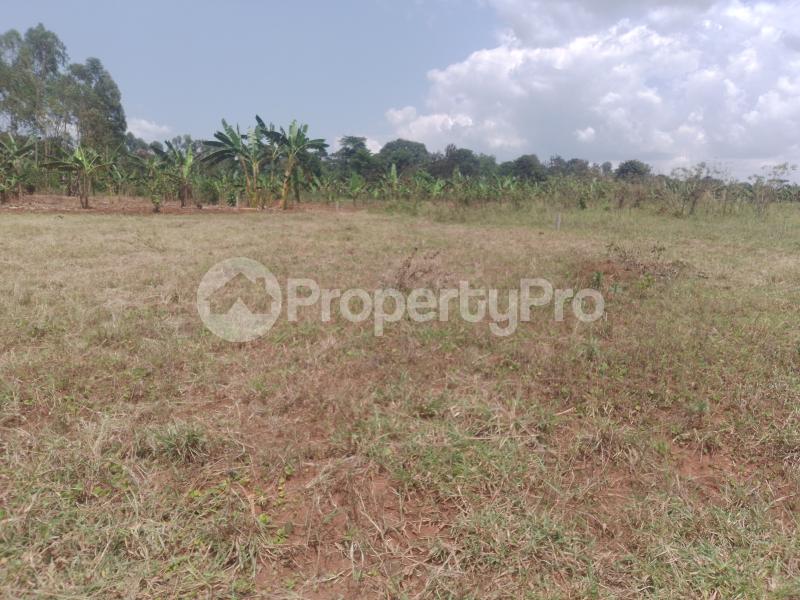 Land for sale Gayaza nakasajja Gayaza Wakiso Central - 4