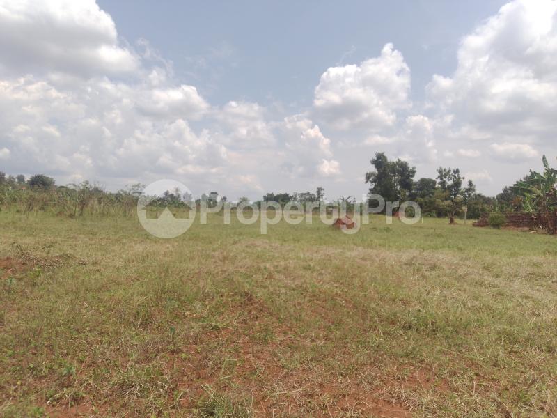 Land for sale Gayaza nakasajja Gayaza Wakiso Central - 3