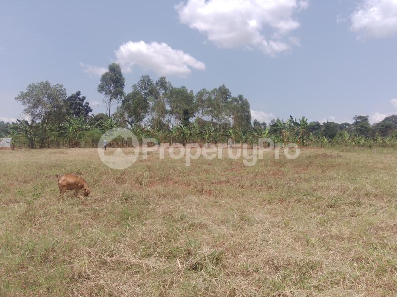 Land for sale Gayaza nakasajja Gayaza Wakiso Central - 5