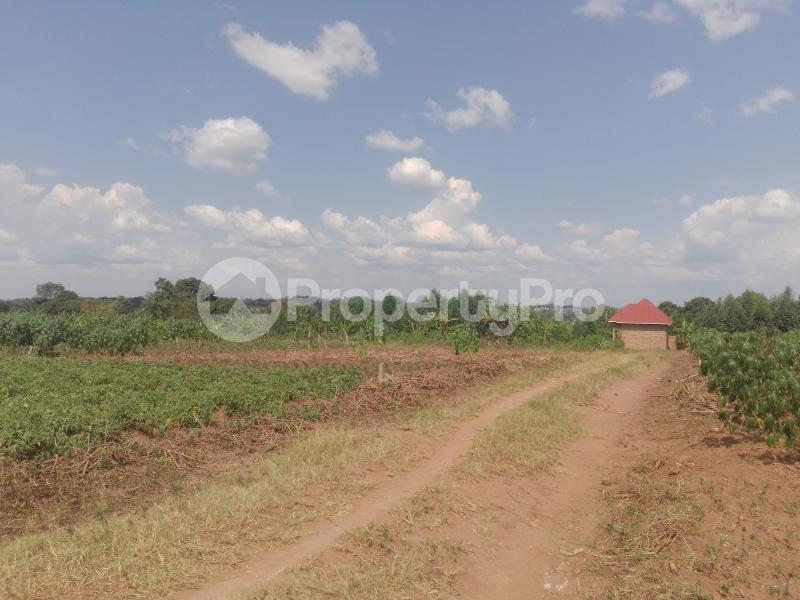 Land for sale Gayaza road  Gayaza Wakiso Central - 3