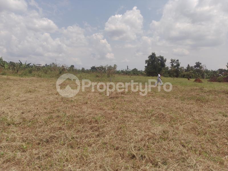 Land for sale Gayaza nakasajja Gayaza Wakiso Central - 2