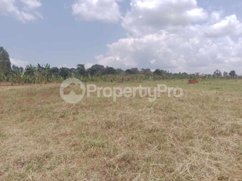 Land for sale Gayaza nakasajja Gayaza Wakiso Central - 6