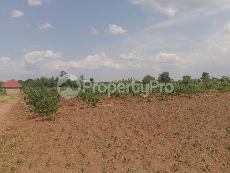 Land for sale Gayaza road  Gayaza Wakiso Central - 1