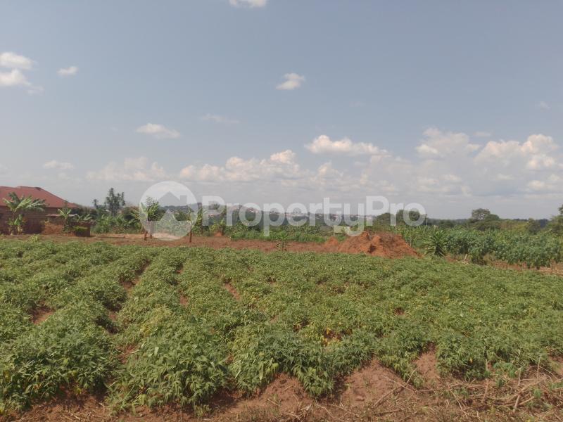 Land for sale Gayaza road  Gayaza Wakiso Central - 4