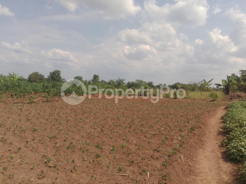 Land for sale Gayaza road  Gayaza Wakiso Central - 0