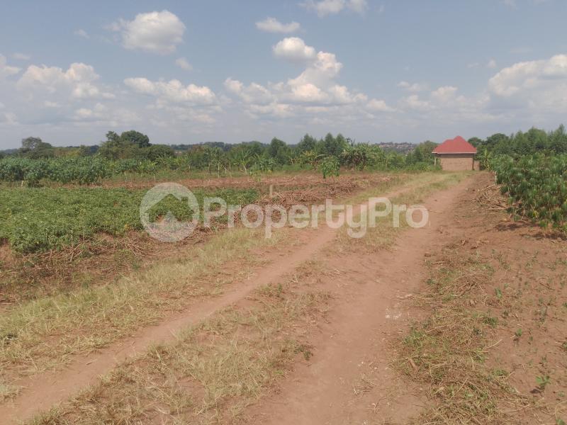 Land for sale Gayaza road  Gayaza Wakiso Central - 2