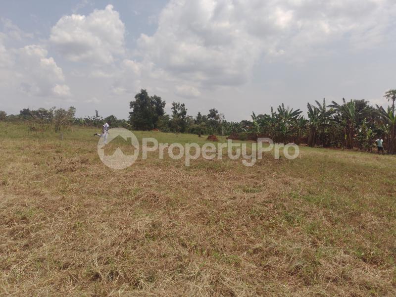 Land for sale Gayaza nakasajja Gayaza Wakiso Central - 0