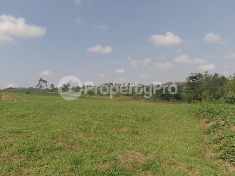 Land for sale Nakasajja  Kampala Central - 4