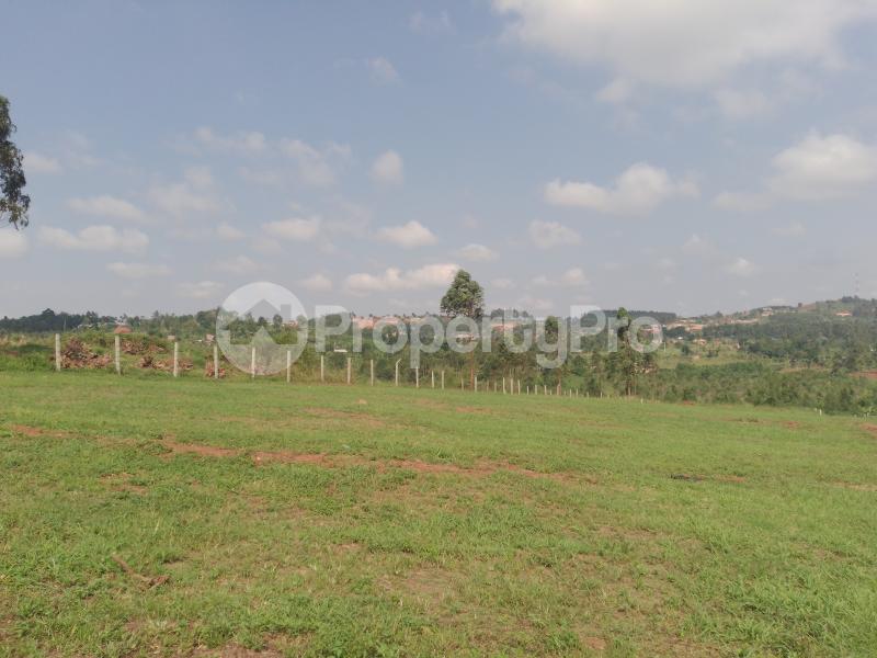 Land for sale Nakasajja  Kampala Central - 2