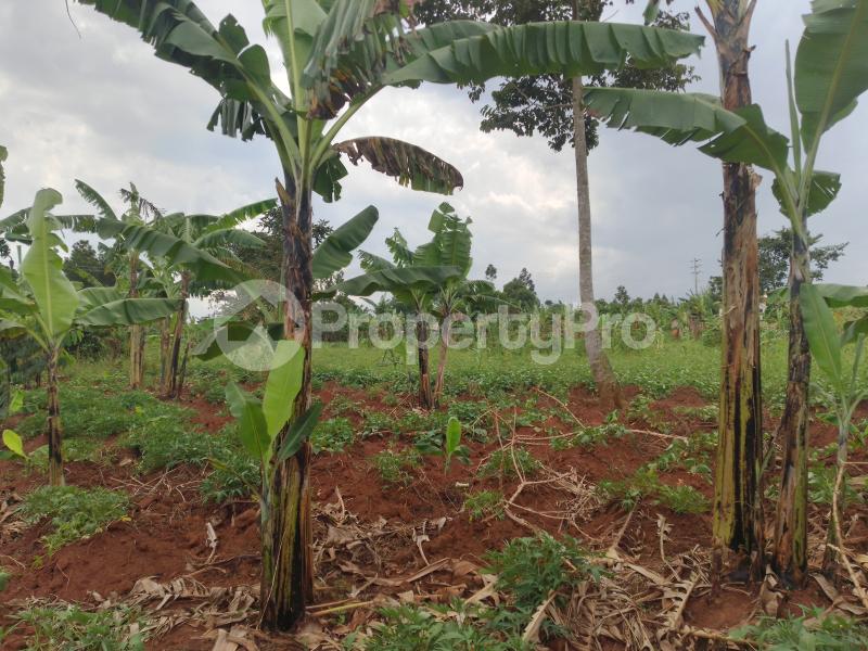 Land for sale Namugongo bukerere  Wakiso Central - 5