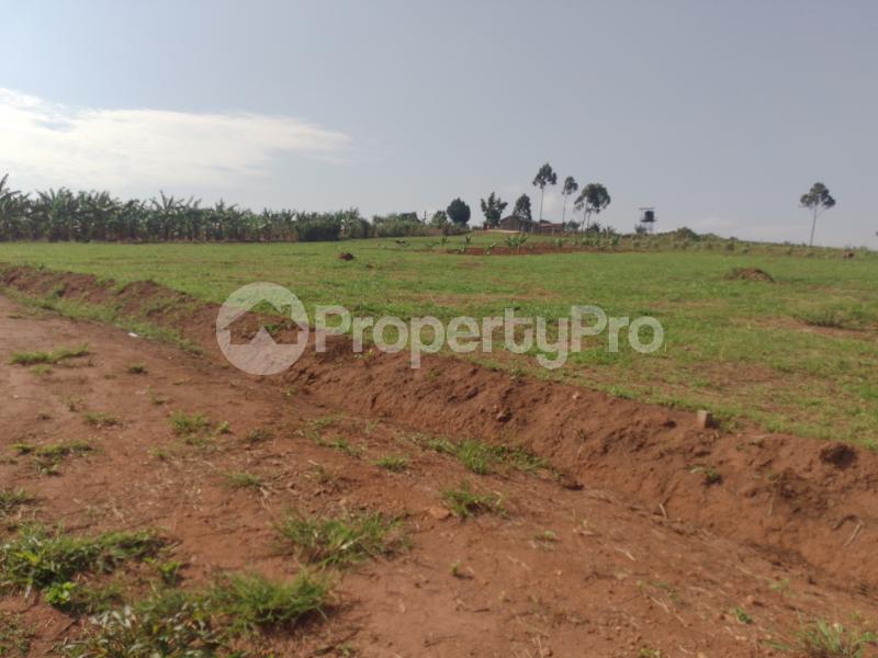 Land for sale Namugongo  Kampala Central - 4