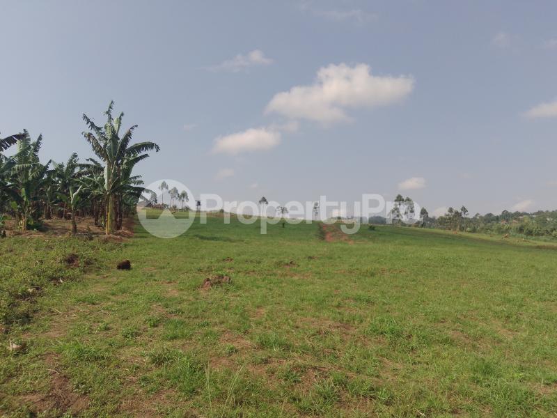 Land for sale Namugongo  Kampala Central - 2