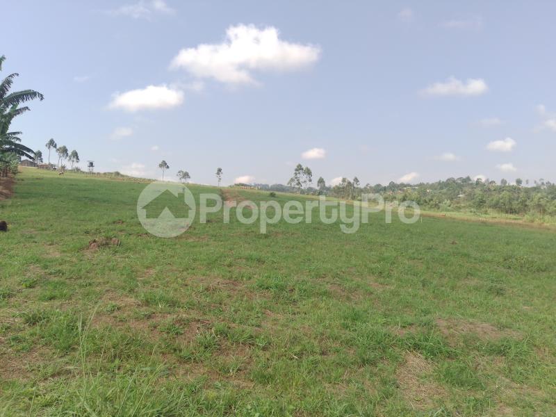 Land for sale Namugongo  Kampala Central - 3