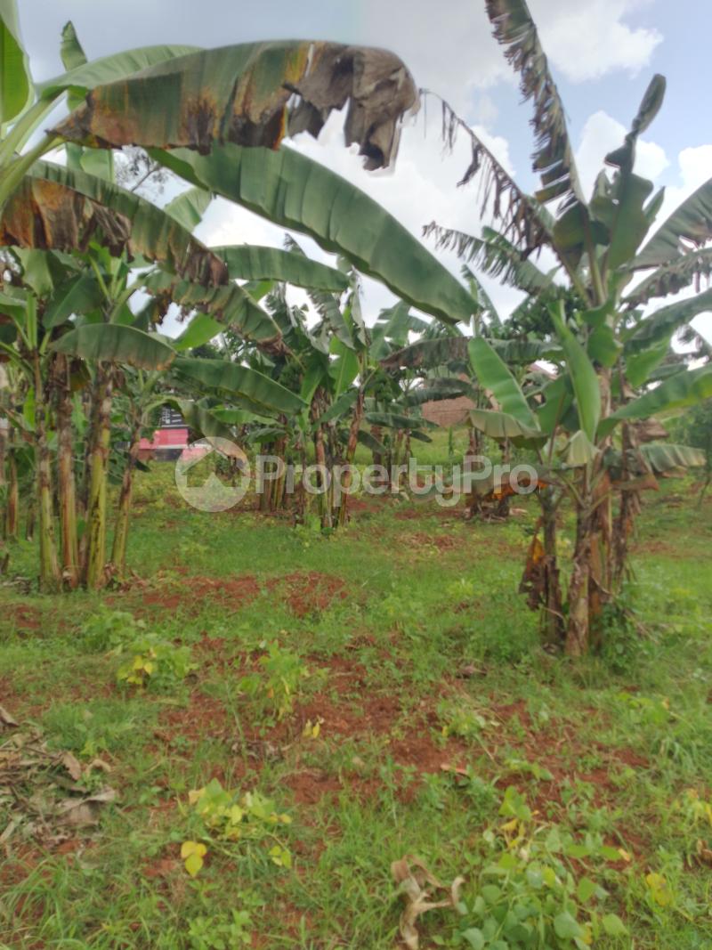 Land for sale Namugongo road  Wakiso Central - 4