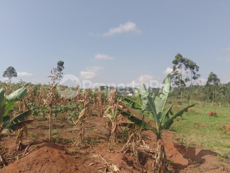 Land for sale Namugongo kiwqngo  Wakiso Central - 2