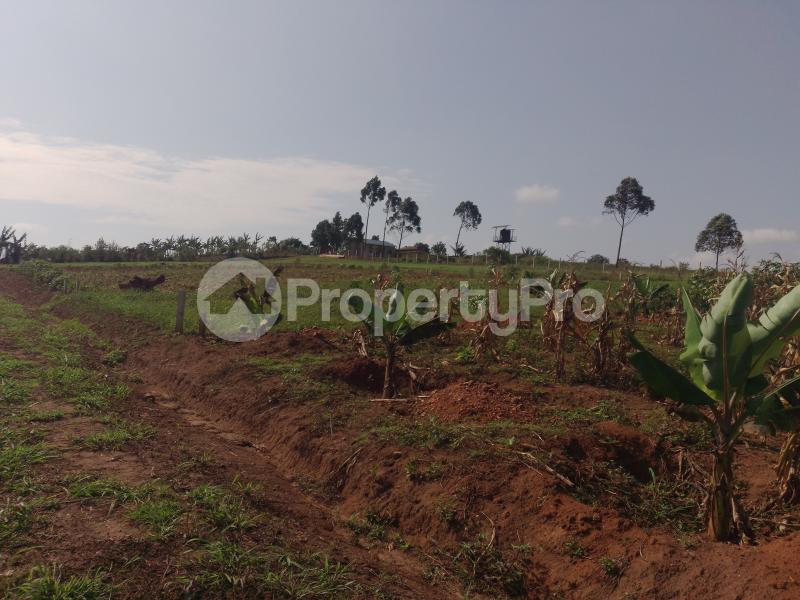 Land for sale Namugongo kiwqngo  Wakiso Central - 1