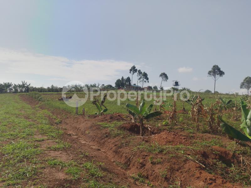 Land for sale Namugongo kiwqngo  Wakiso Central - 0