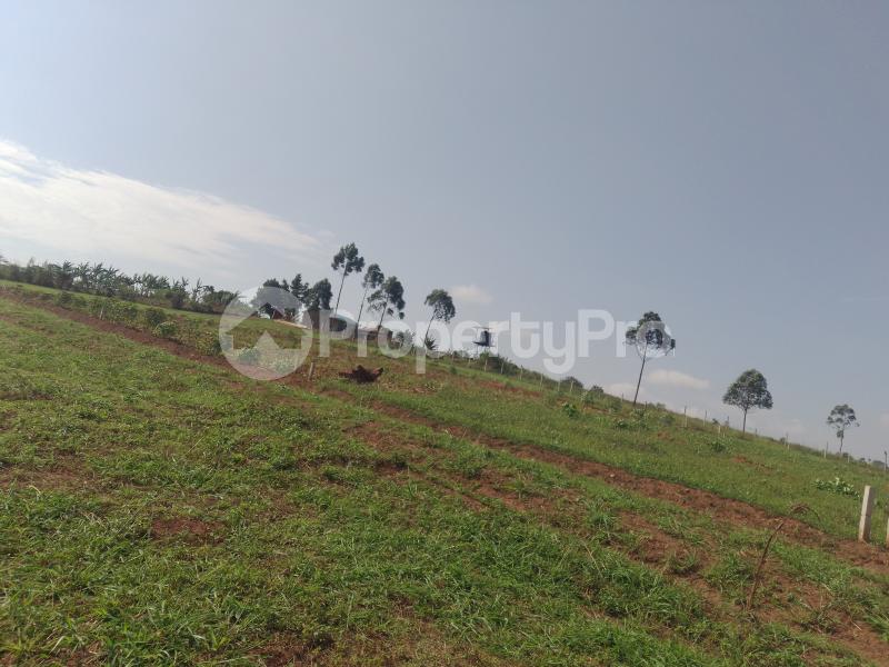Land for sale Namugongo kiwqngo  Wakiso Central - 3