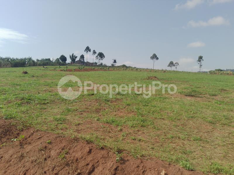 Land for sale Namugongo kiwqngo  Wakiso Central - 4