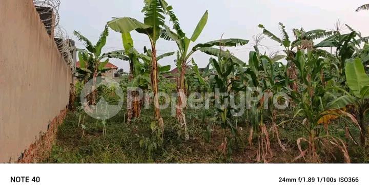 Land for sale Namugongo road  Wakiso Central - 4