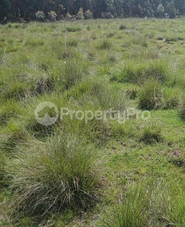 Agricultural Land for sale Laikipia Laikipia - 0