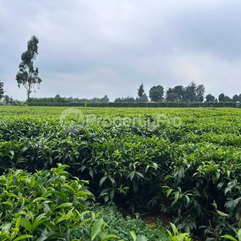 Land for sale Tigoni Limuru