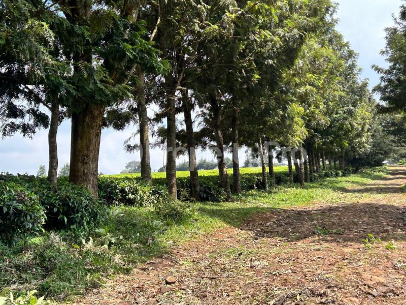 Land for sale Limuru Central Kiambu