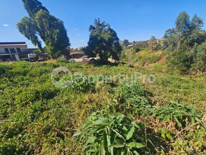 Land for sale Limuru Central Kiambu