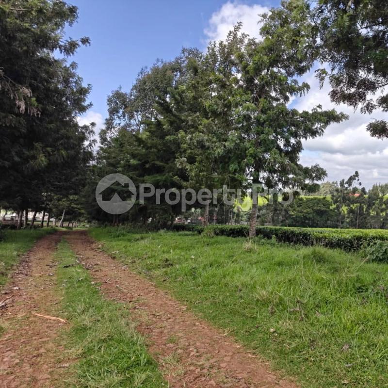 Land for sale Tigoni Limuru
