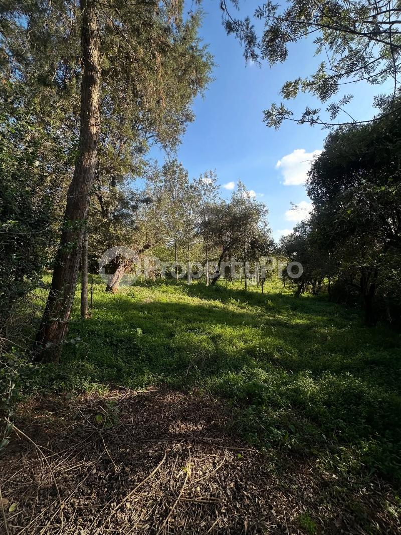 Land for sale Karen Nairobi