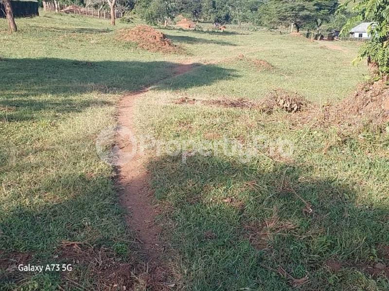Land for sale Sembabule  Sembabule Central - 4