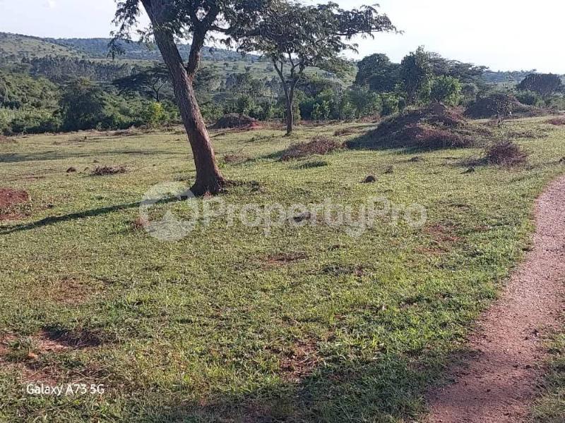 Land for sale Sembabule  Sembabule Central - 1