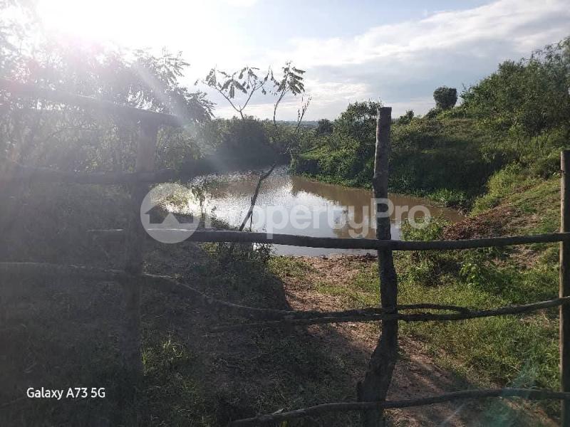 Land for sale Sembabule  Sembabule Central - 3
