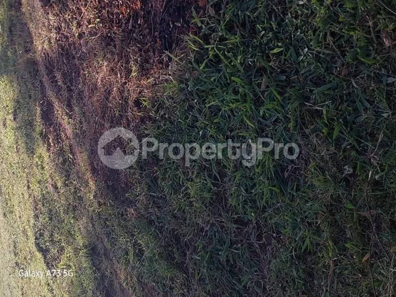 Land for sale Sembabule  Sembabule Central - 6