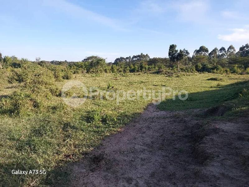 Land for sale Sembabule  Sembabule Central - 2