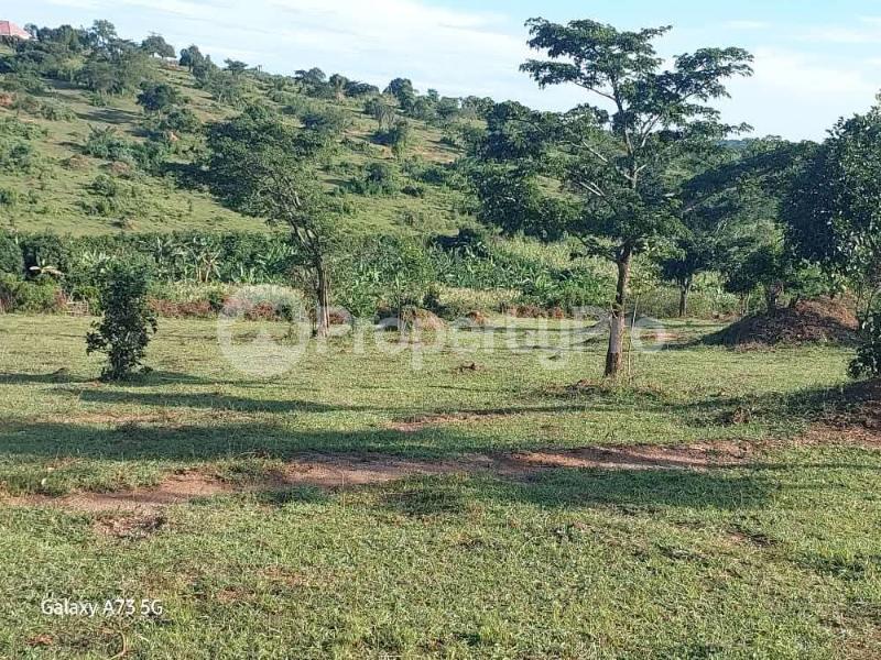 Land for sale Sembabule  Sembabule Central - 0