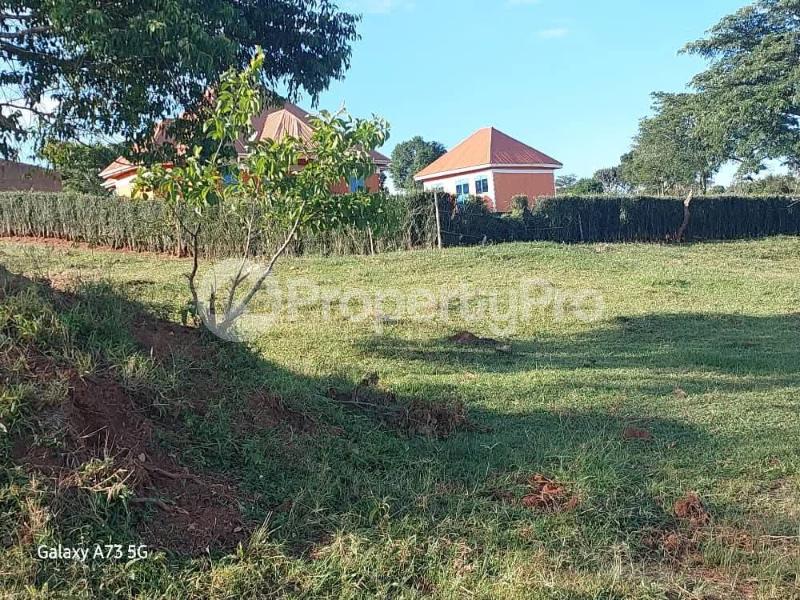 Land for sale Sembabule  Sembabule Central - 7