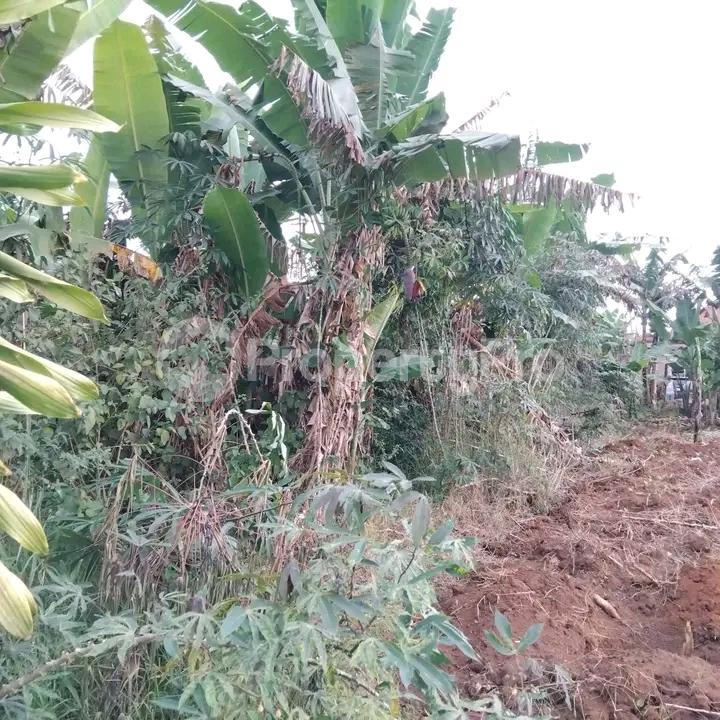 Land for sale Namugongo road  Kampala Central Kampala Central - 3