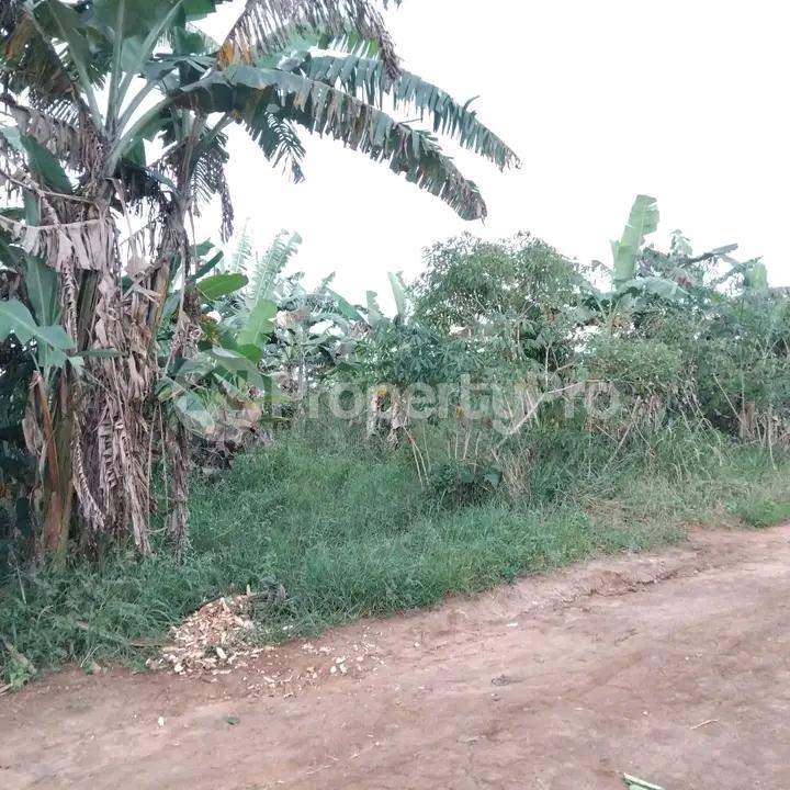 Land for sale Namugongo road  Kampala Central Kampala Central - 4