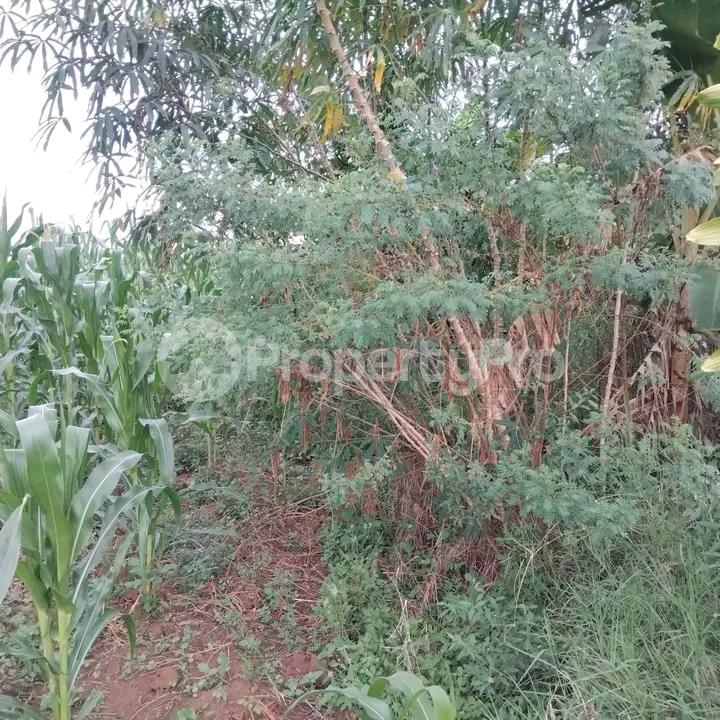 Land for sale Namugongo road  Kampala Central Kampala Central - 1